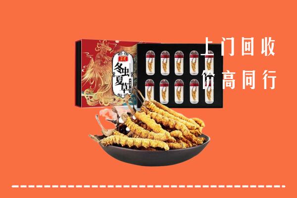 宽城区回收虫草
